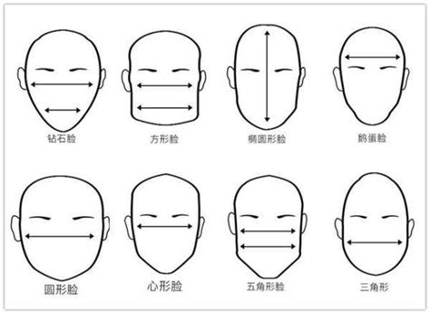 头型面相|高端进阶头部面相识人 上,面相头型